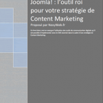 [LIVRE BLANC] Joomla! : l'outil Roi pour votre stratégie de Content Marketing