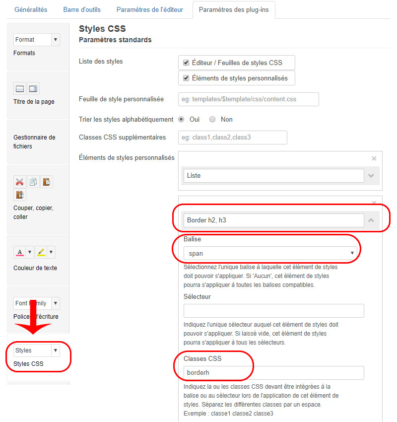 JCE parametre plugin styles css