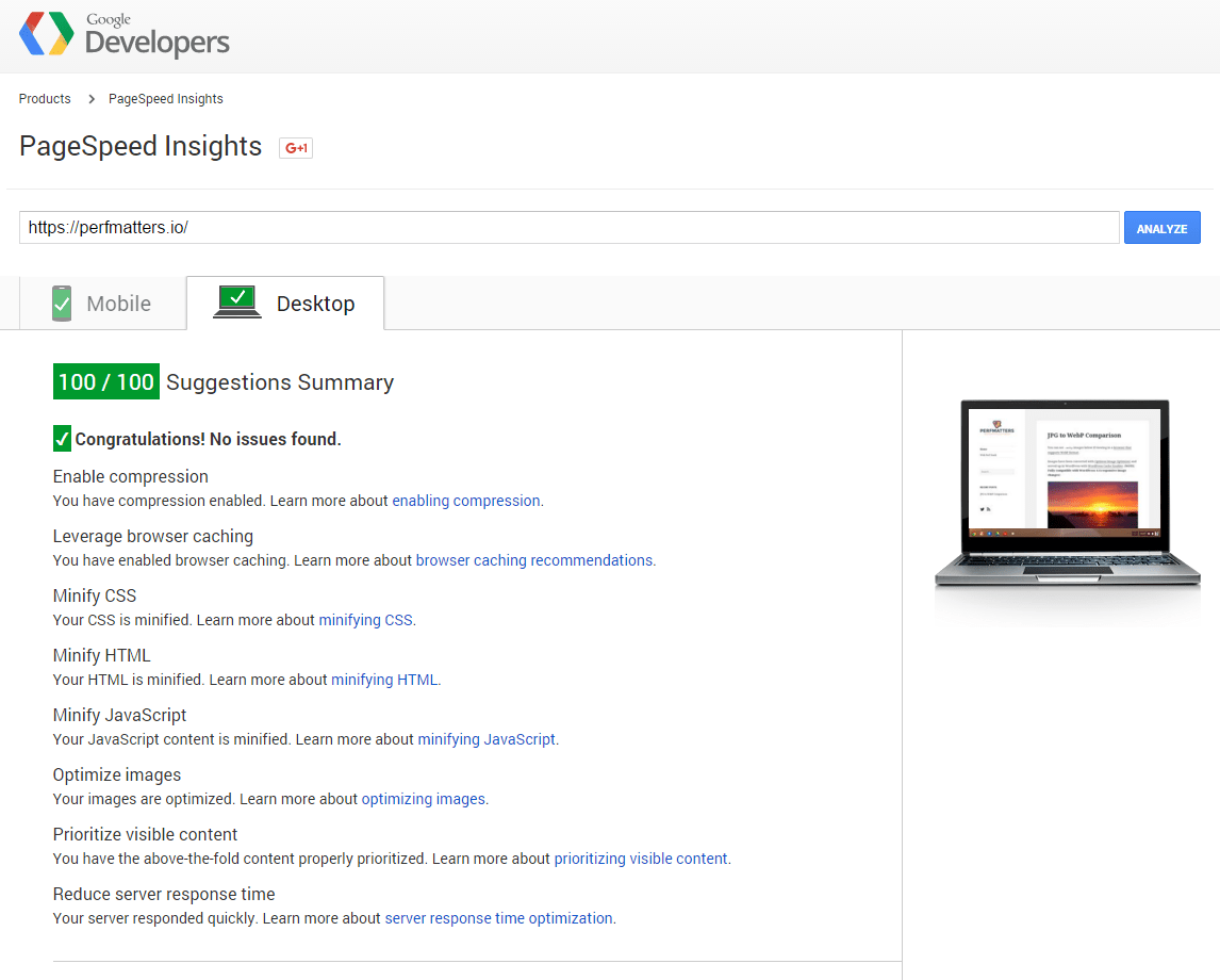 google pagespeed 100 score