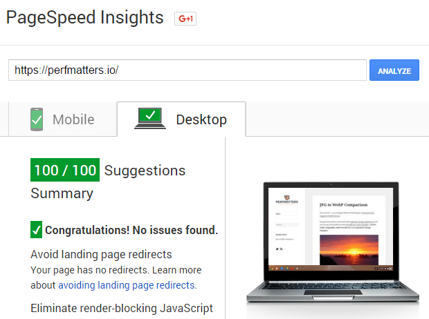 pagespeed 100 score