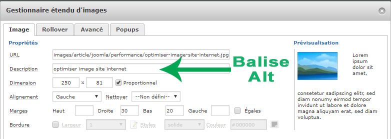 zone balise alt referencement image