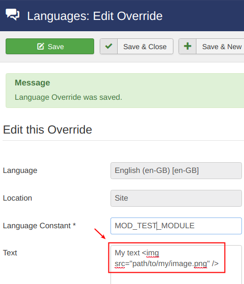 01 image inside language string