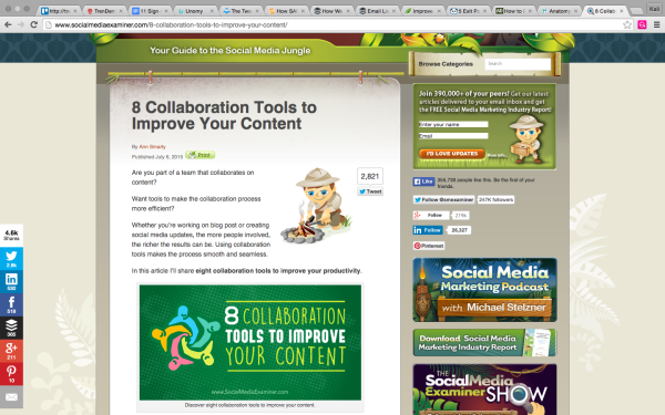 socialmediaexaminer sidebar form image 15 600x375
