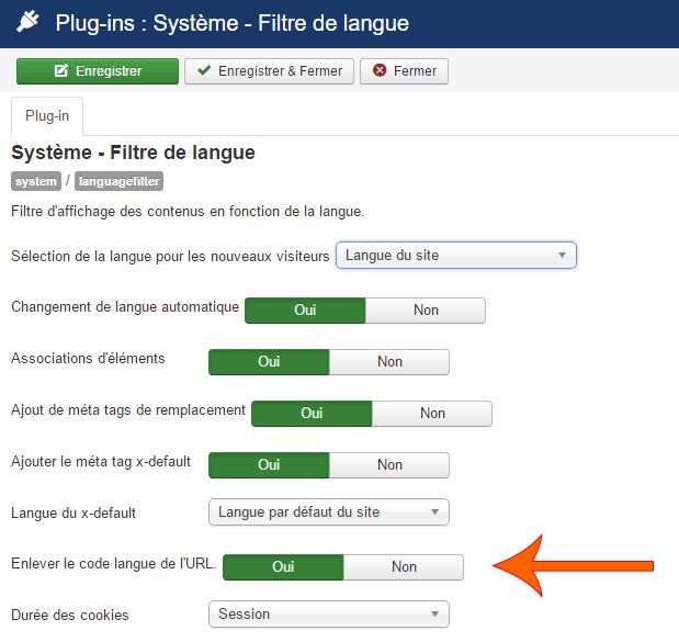 falang95 plugs in filtre langues