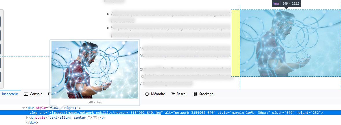 firebug controle dimensions images