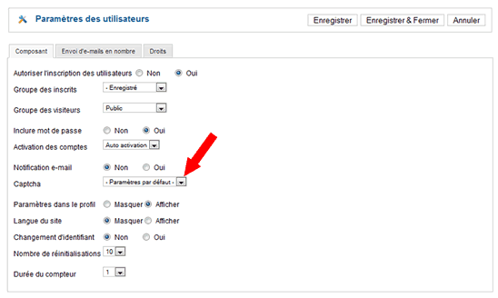 Paramètres Joomla pour reCaptcha